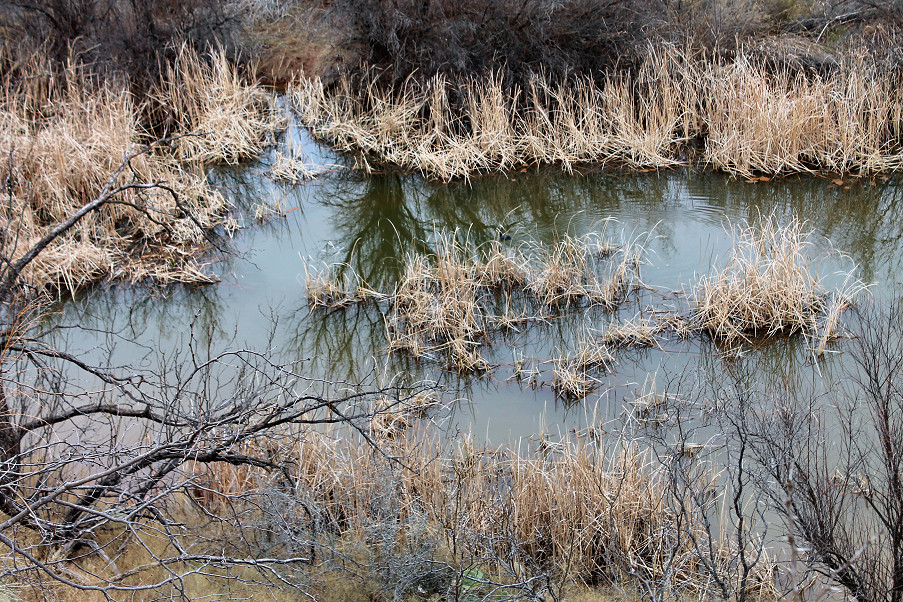 Simpson River Bend Ranch Photo