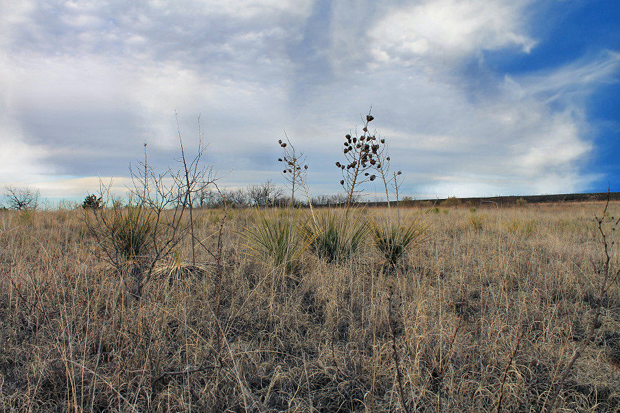 Simpson River Bend Ranch Photo