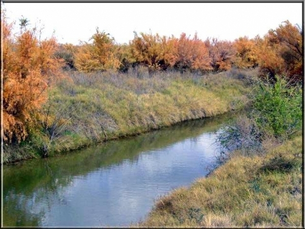 Sims River Ranch Photo