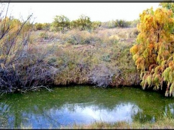 Sims River Ranch Photo