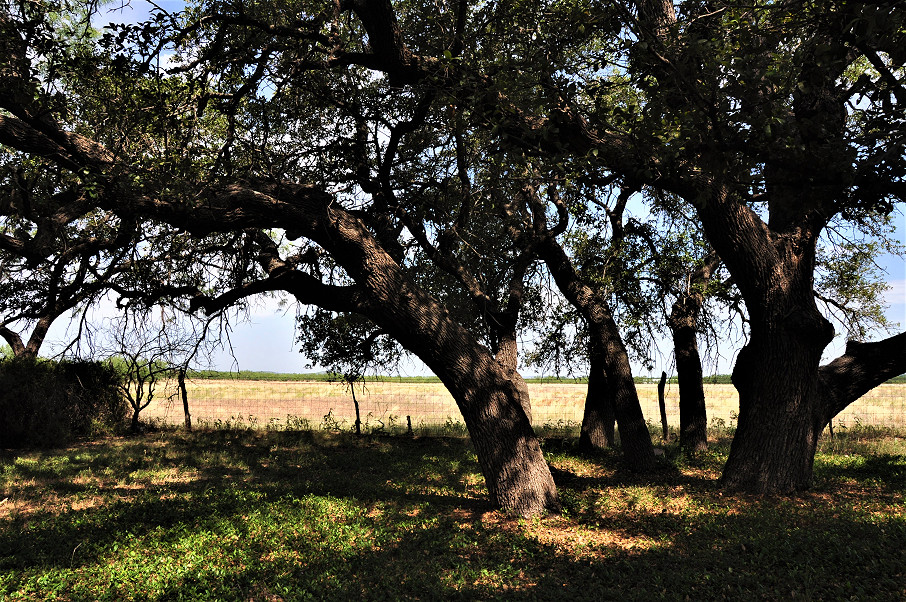 Smith Concho River Ranch Photo