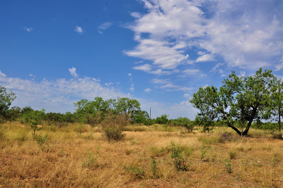 Smith Concho River Ranch Photo