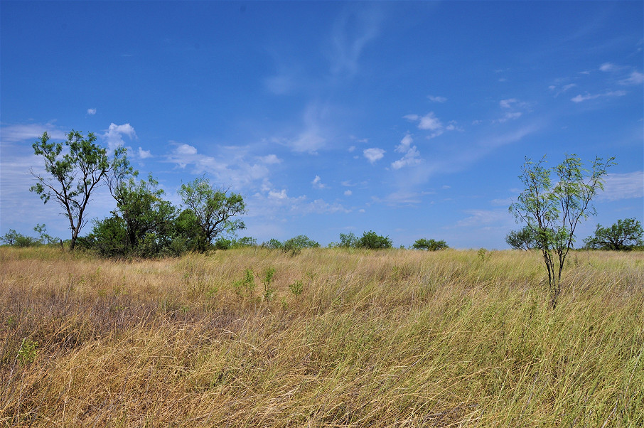 Smith Concho River Ranch Photo