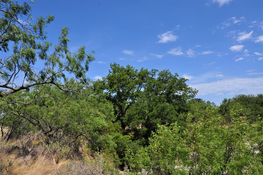 Smith Concho River Ranch Photo