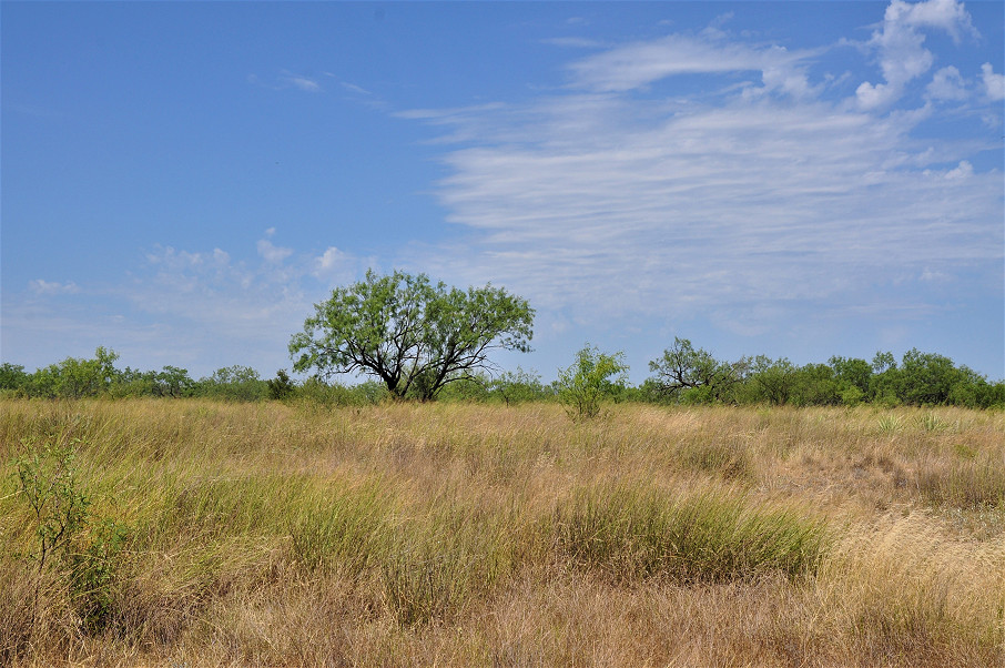 Smith Concho River Ranch Photo