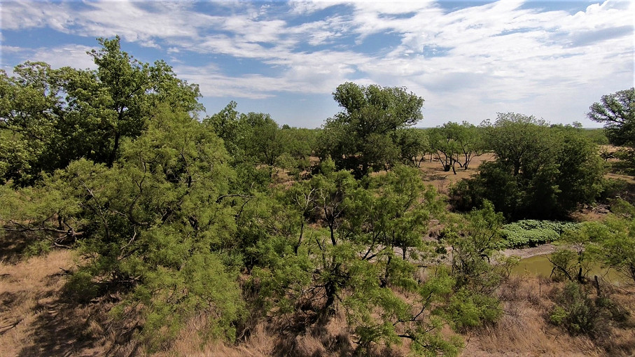 Smith Concho River Ranch Photo