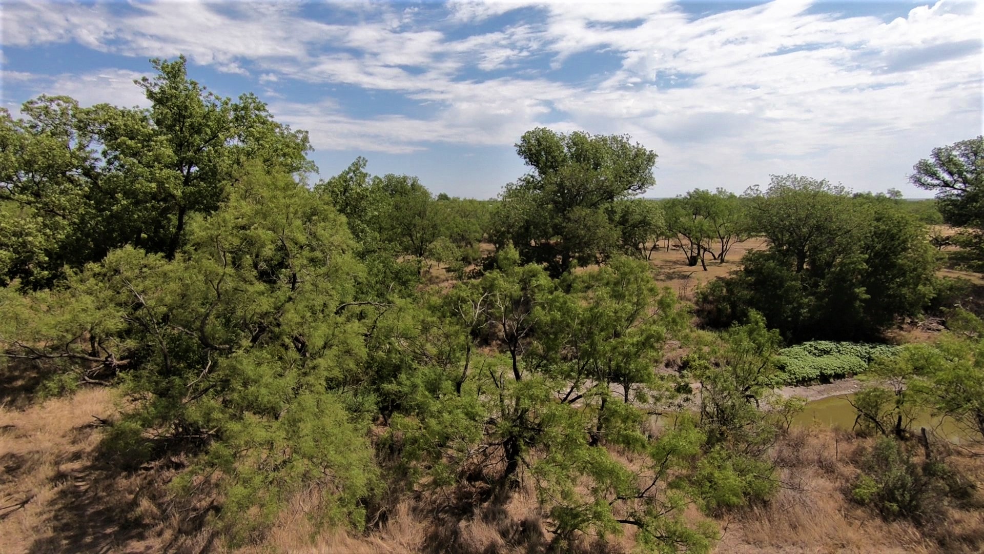 Smith Concho River Ranch Photo