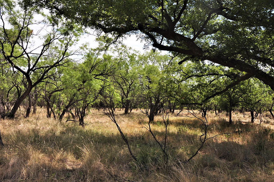 Smith Concho River Ranch Photo