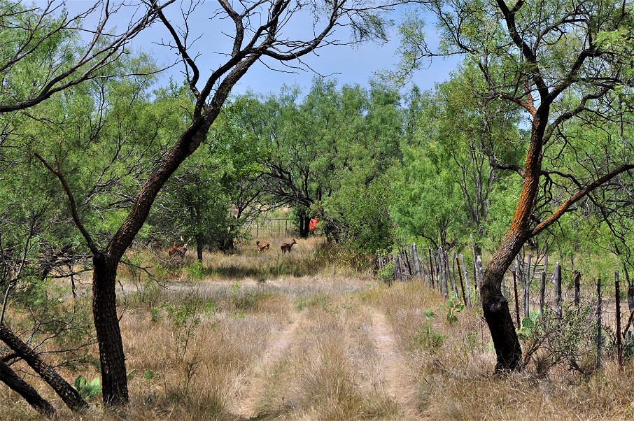 Smith Concho River Ranch Photo