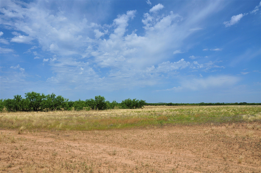 Smith Concho River Ranch Photo