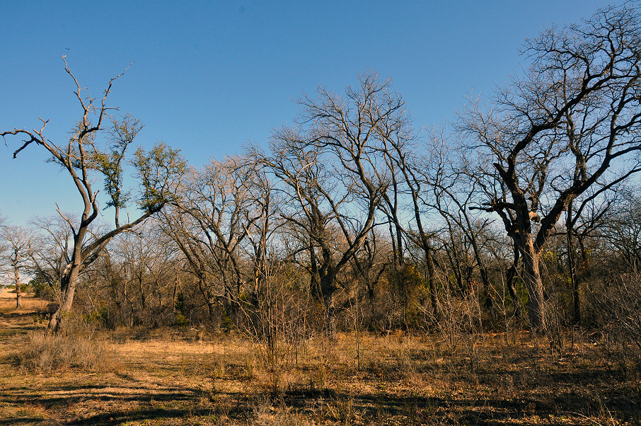 South Comanche Ranch Photo