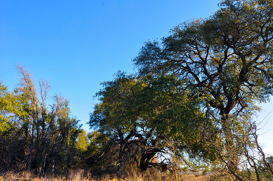 South Comanche Ranch Photo