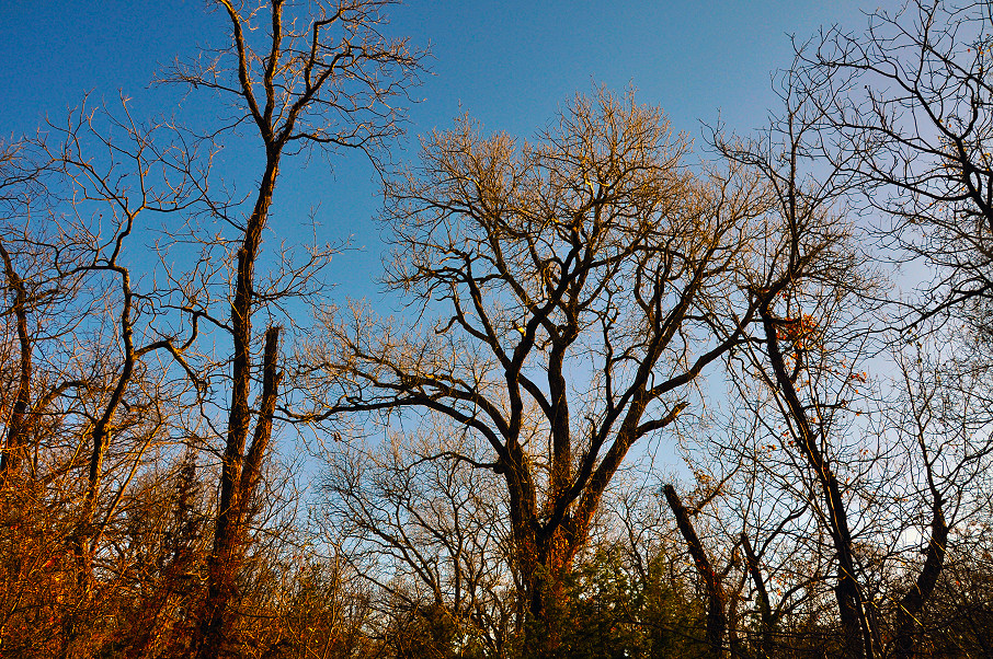 South Comanche Ranch Photo