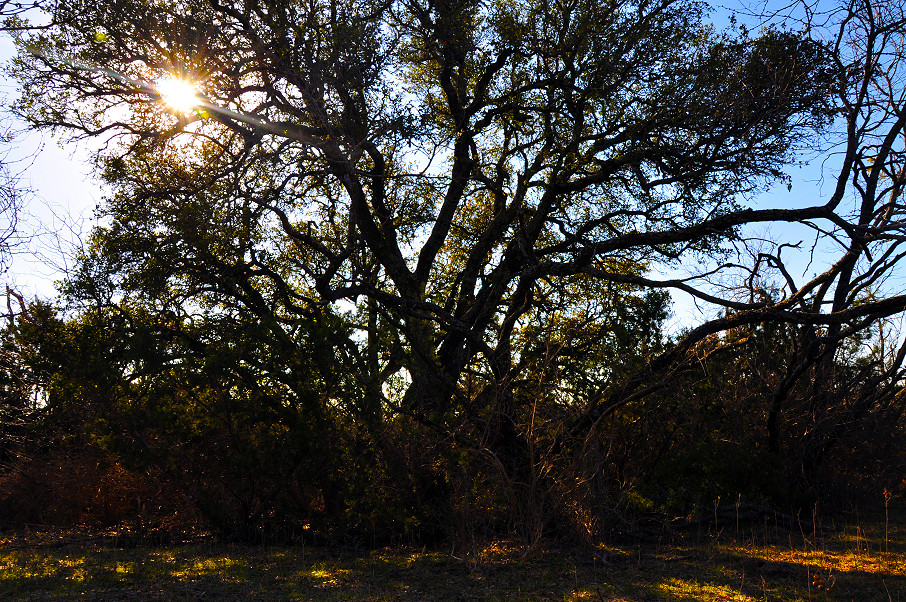 South Comanche Ranch Photo