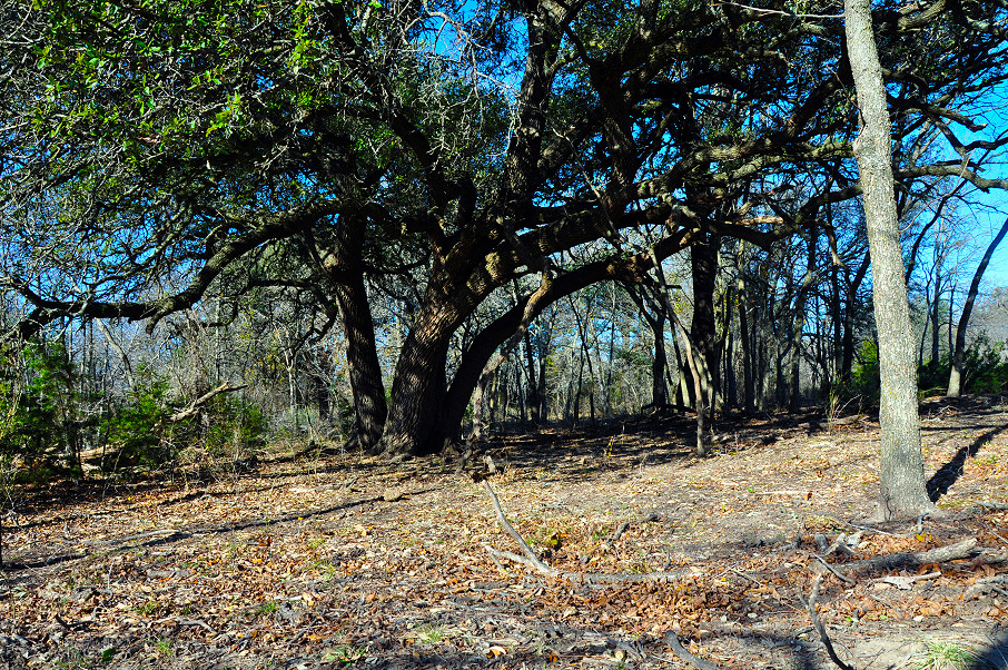 South Comanche Ranch Photo