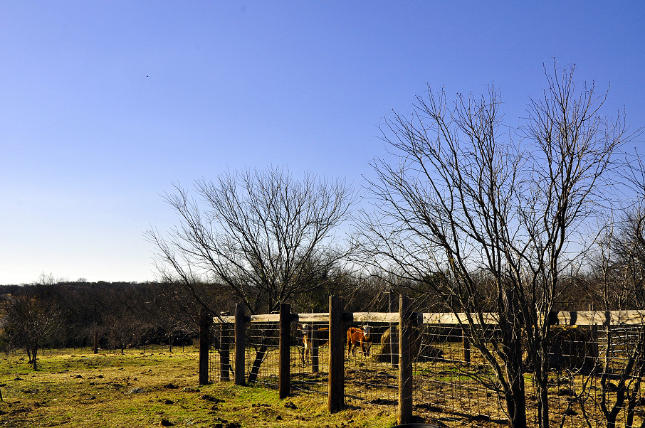 South Comanche Ranch Photo