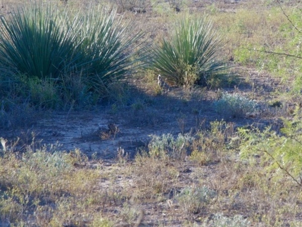 Sprayberry Ranch Photo