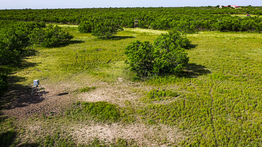 Sims Whitetail Ranch Photo