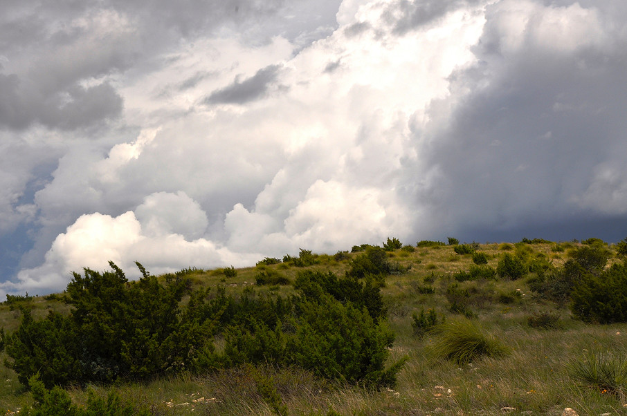 Stephens Ranch Photo