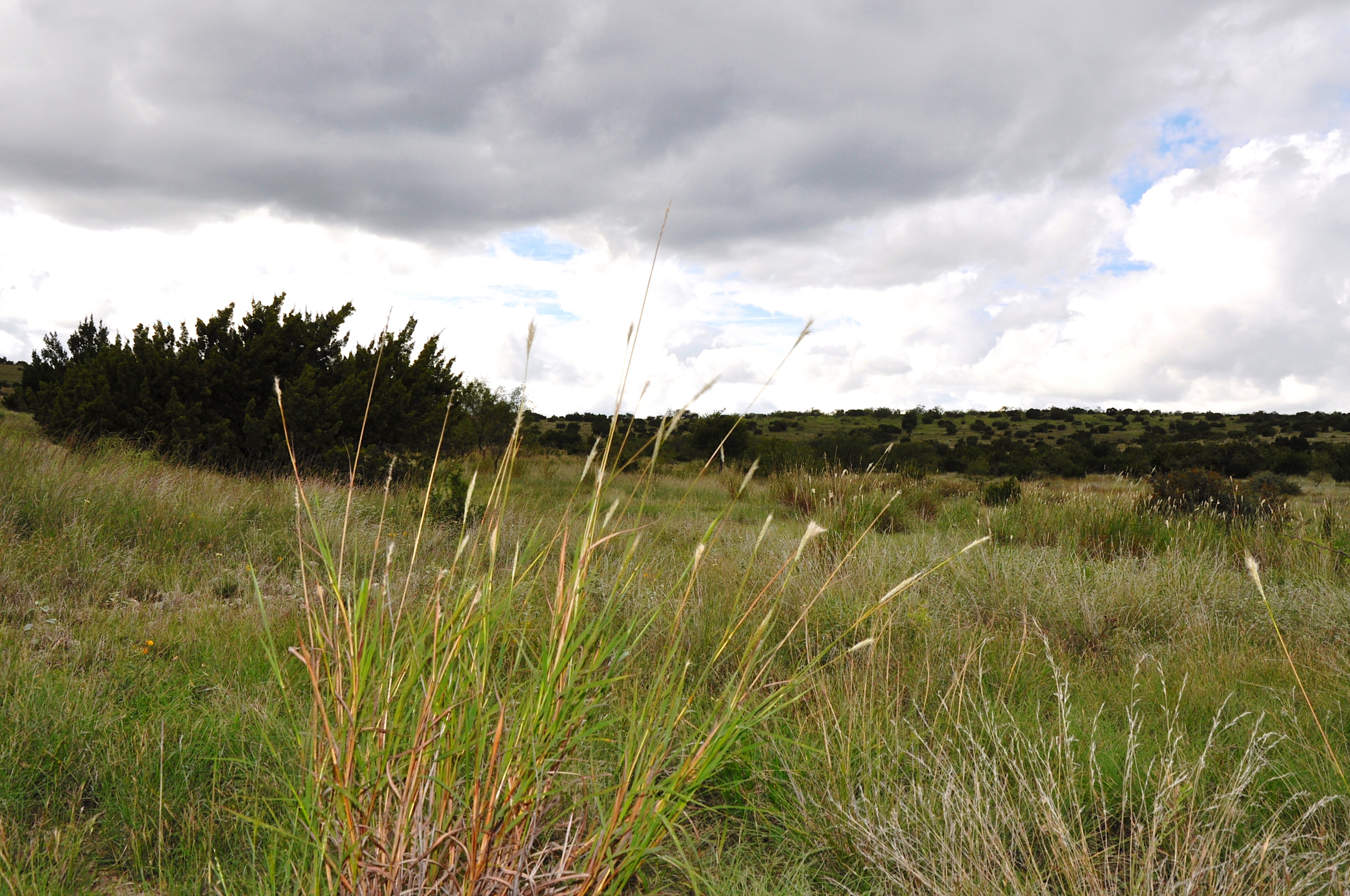 Stephens Ranch Lee, Lee & Puckitt Associates, Inc.