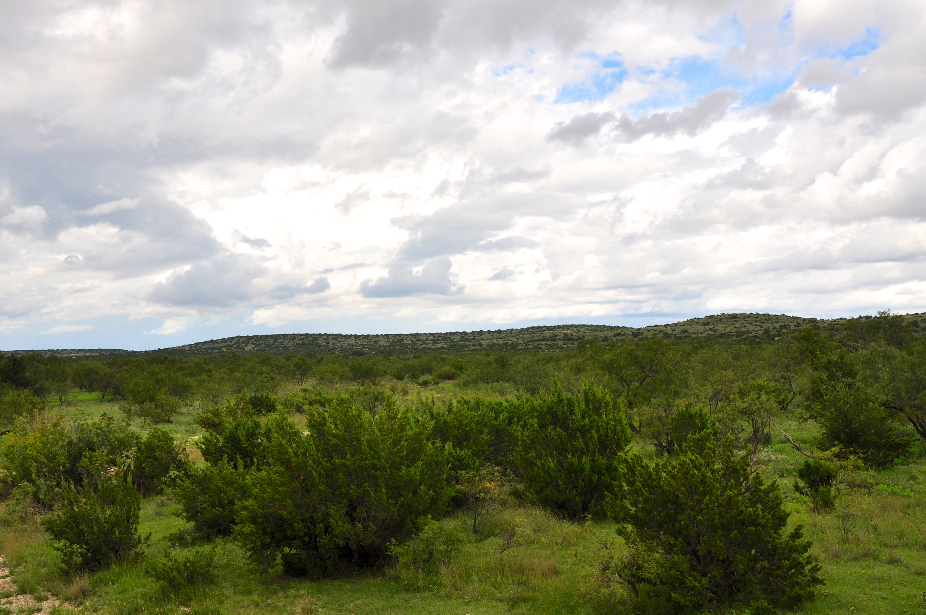 Stephens Ranch Lee, Lee & Puckitt Associates, Inc.