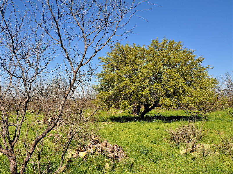 Stone Ridge Ranch Photo