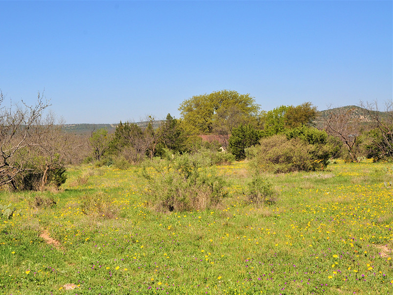 Stone Ridge Ranch Photo