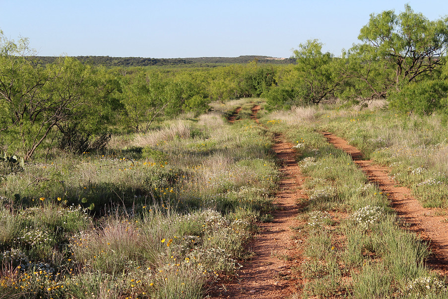 Triple Creek Ranch Photo