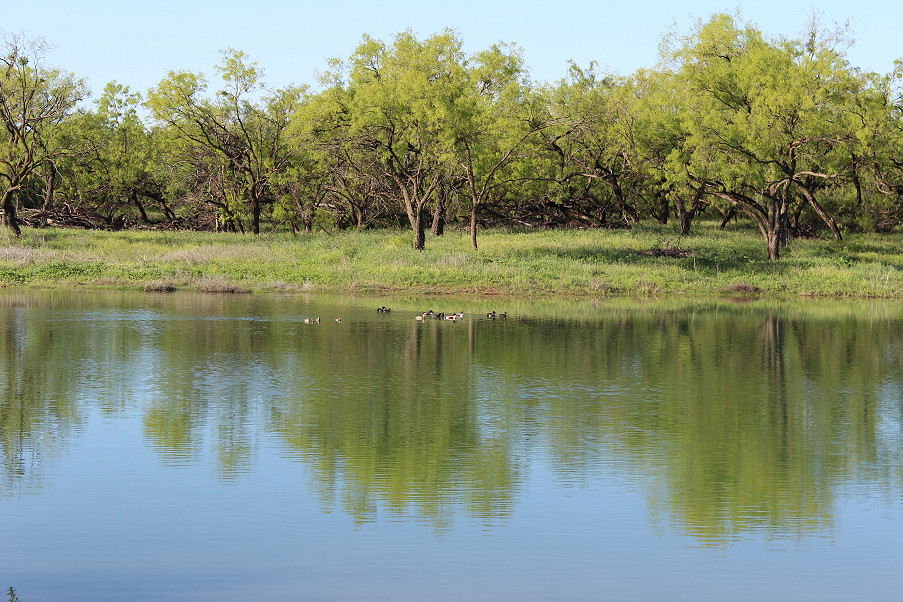 Triple Creek Ranch Photo