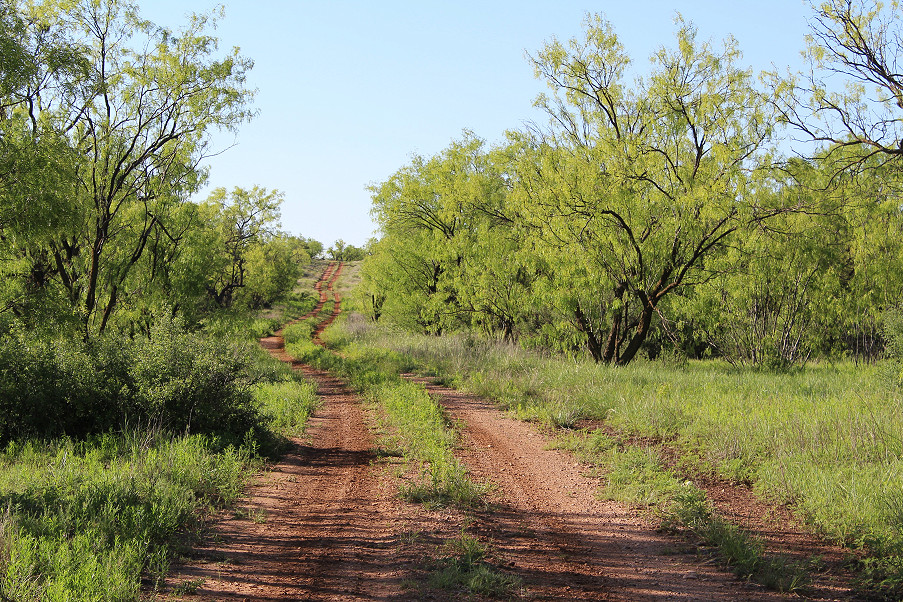 Triple Creek Ranch Photo