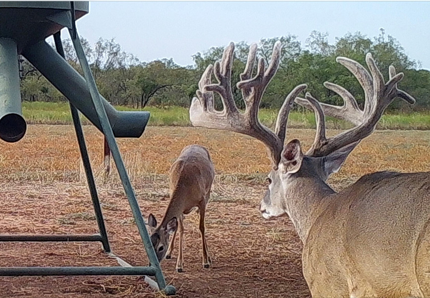 Triple Creek Ranch Photo