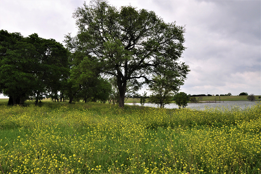 Trinity Rock Ranch Photo