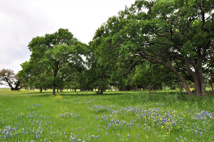 Trinity Rock Ranch Photo