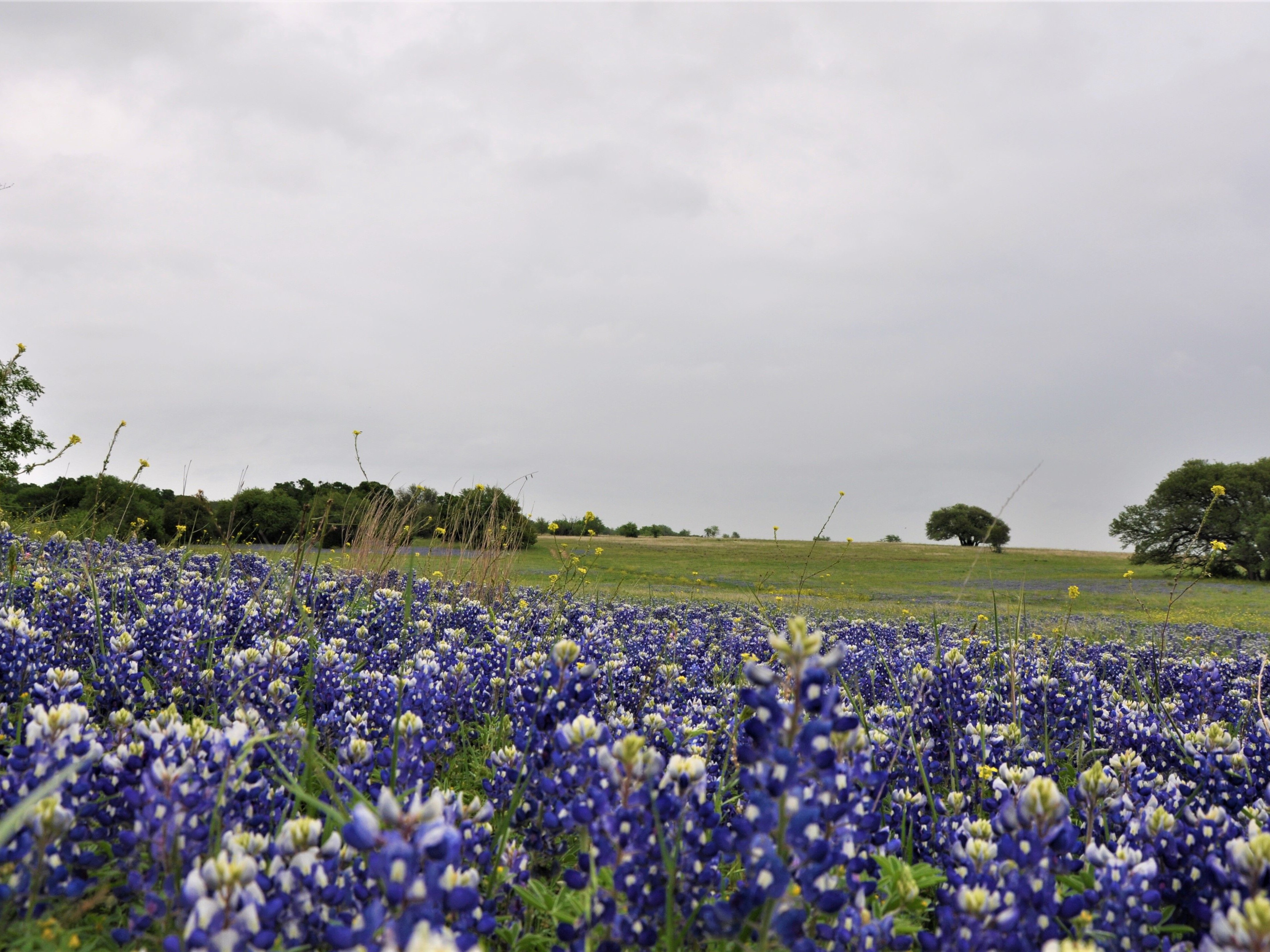 Trinity Rock Ranch Lee, Lee & Puckitt Associates Inc.