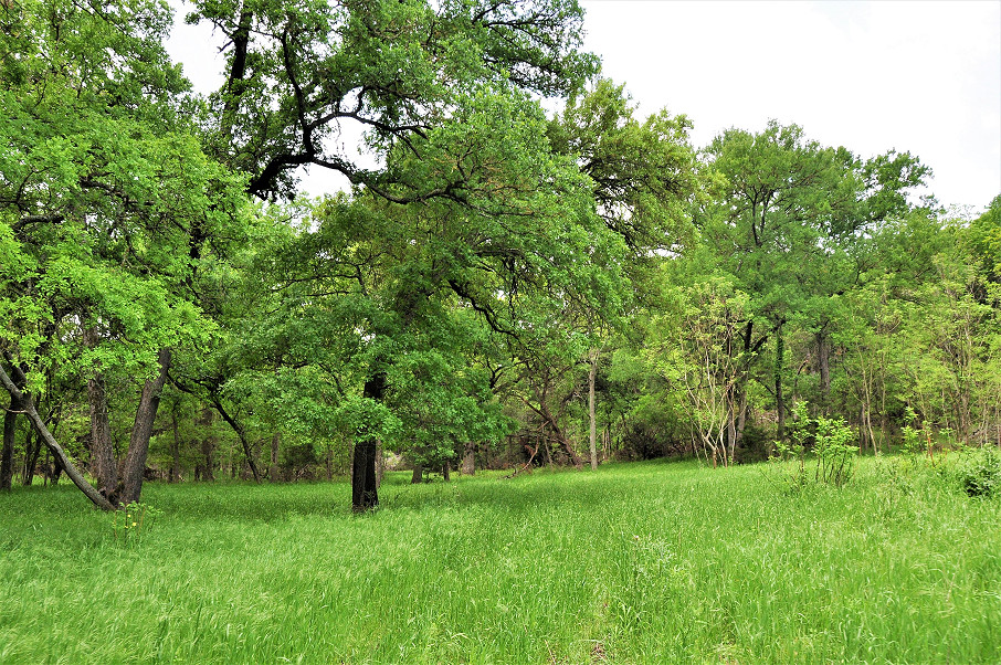 Trinity Rock Ranch Photo