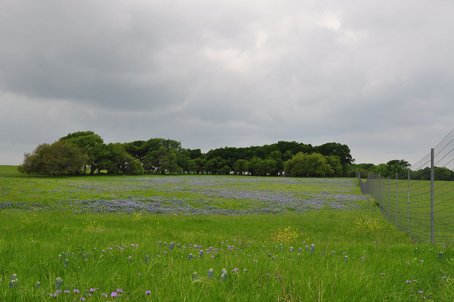 Trinity Rock Ranch Photo