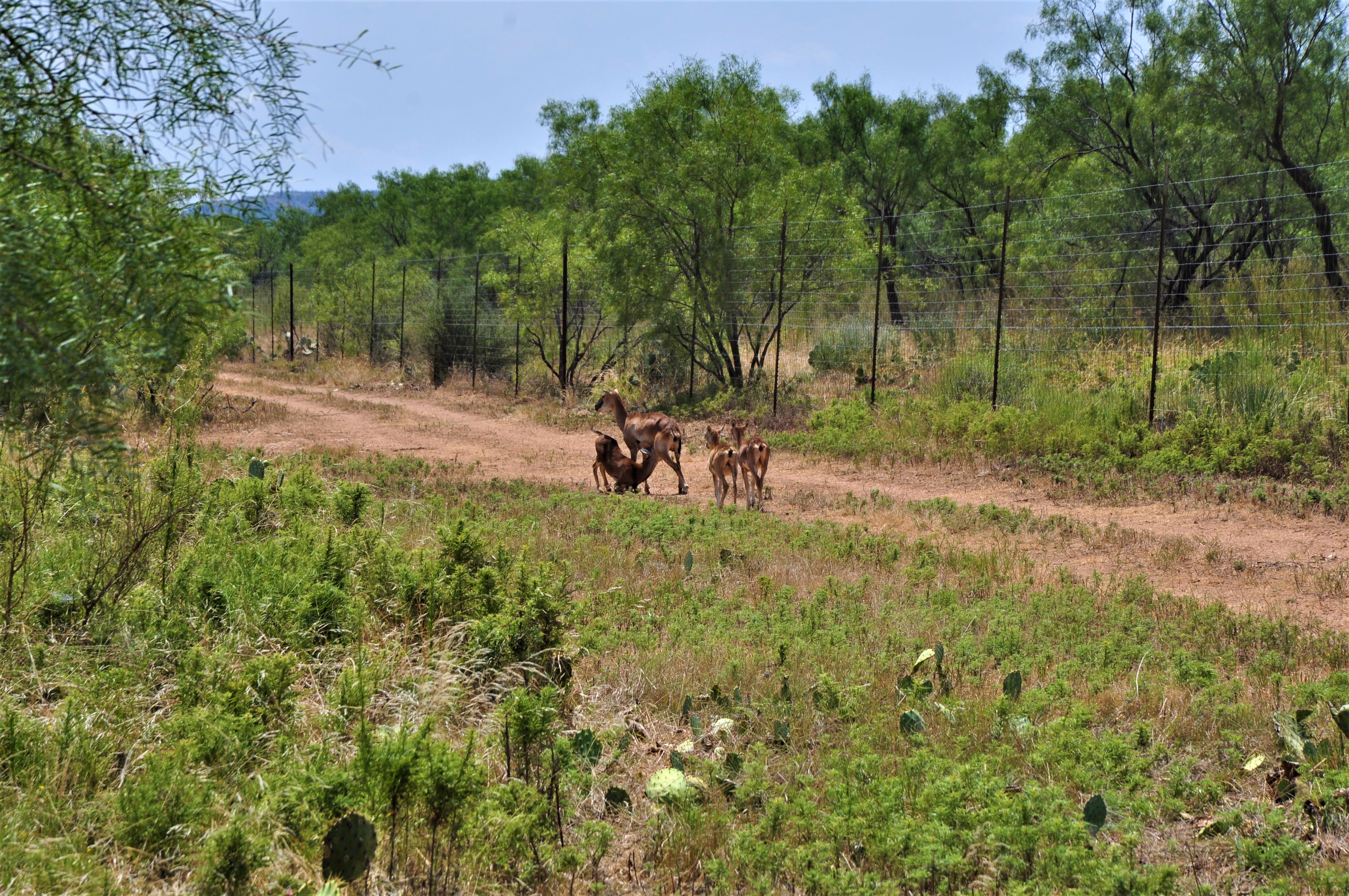 Trophy Ranch | Lee, Lee & Puckitt Associates Inc.