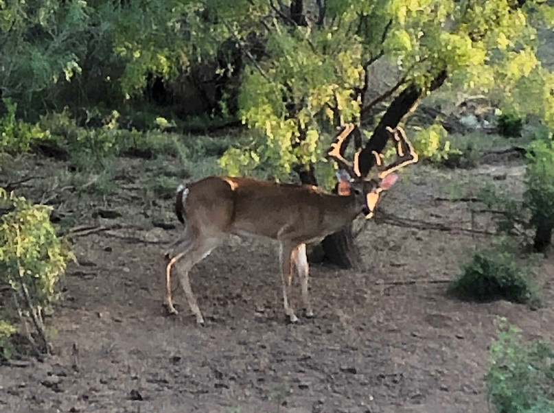 Trophy Ranch Photo