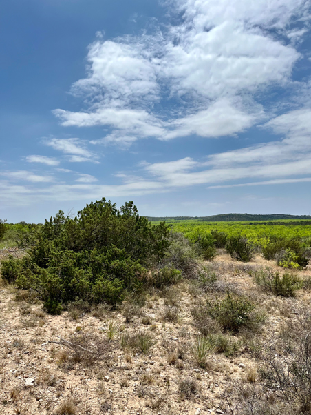 Turkey Track Ranch Photo