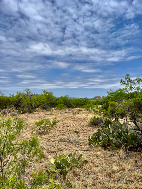 Turkey Track Ranch Photo