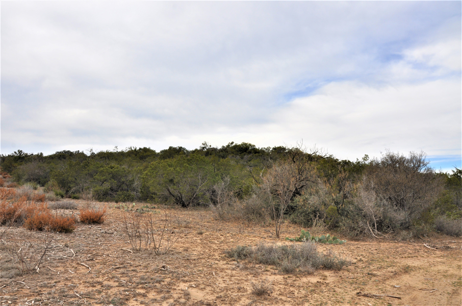 Turkey Track Ranch Photo