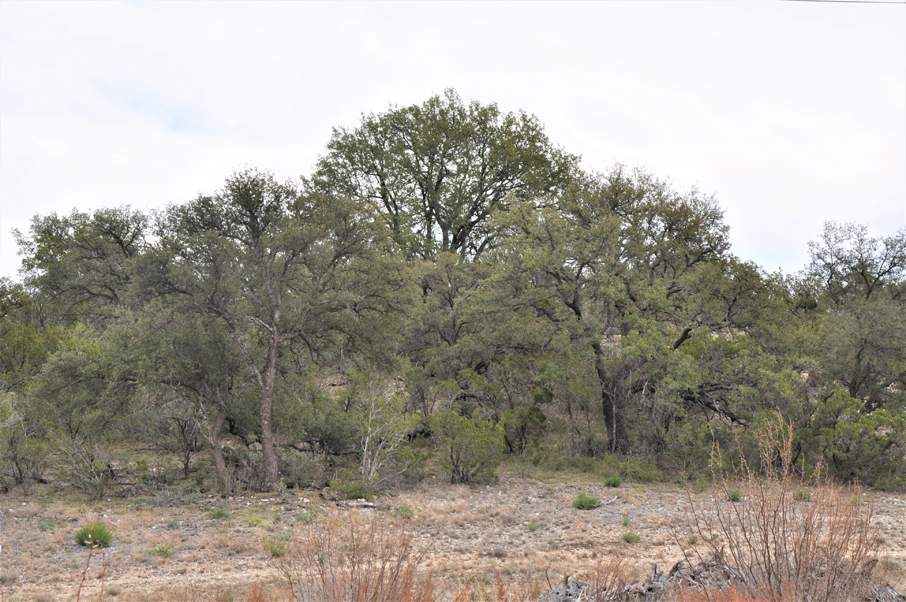 Turkey Track Ranch Photo