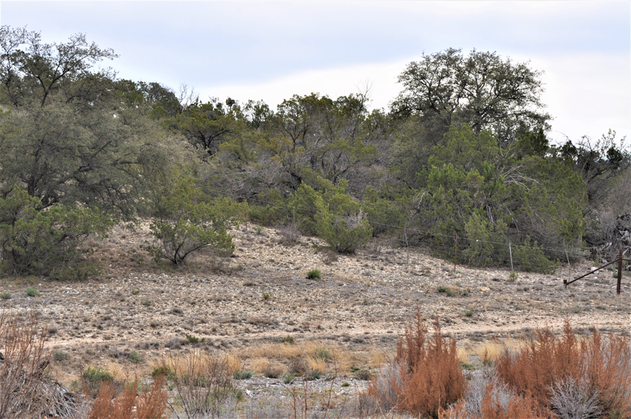 Turkey Track Ranch Photo