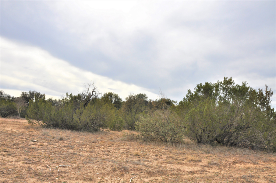 Turkey Track Ranch Photo