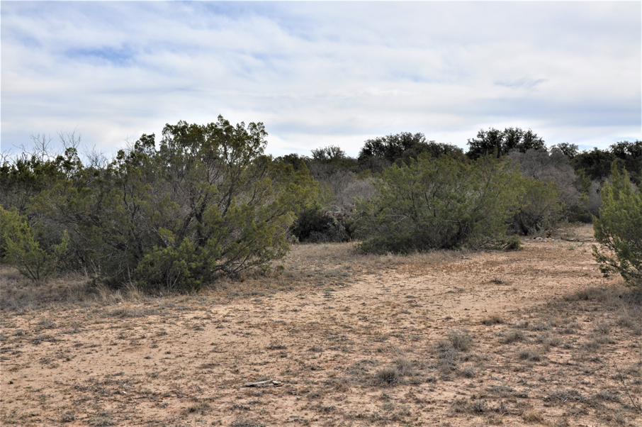 Turkey Track Ranch Photo