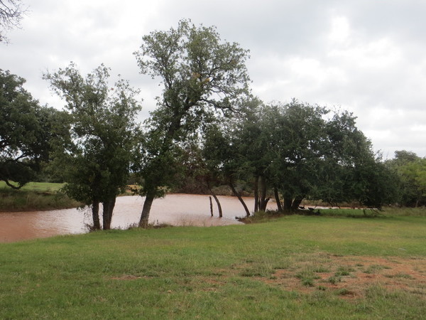 Undercover Whitetail Ranch Photo