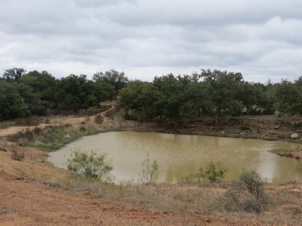 Undercover Whitetail Ranch Photo