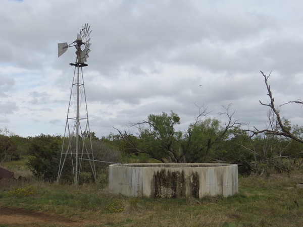 Undercover Whitetail Ranch Photo