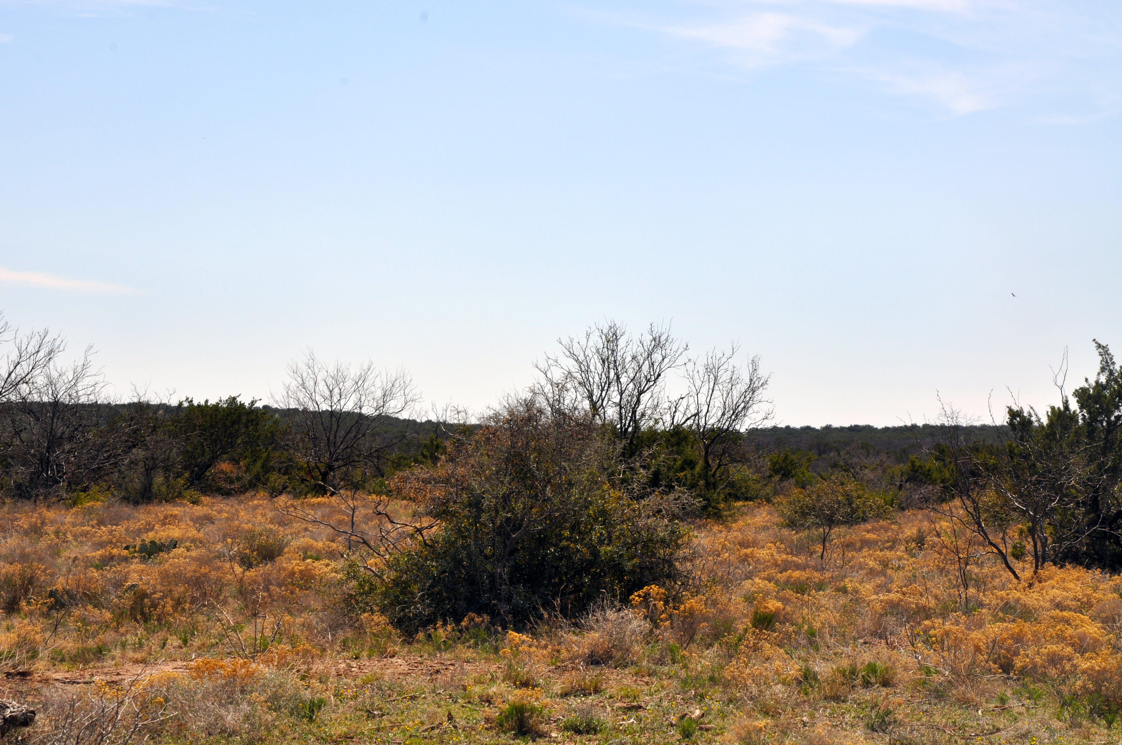 Wall Ranch Photo
