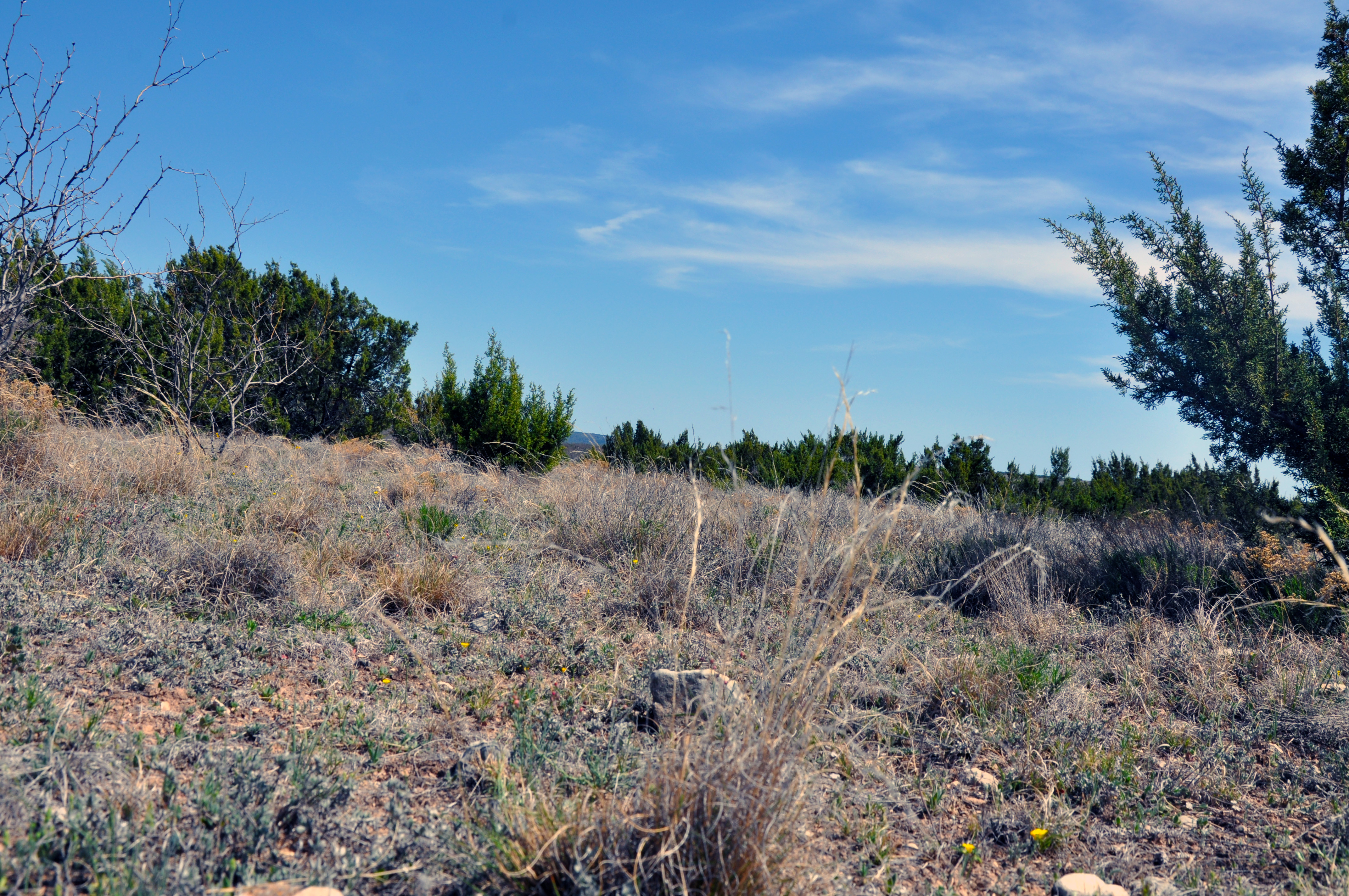 Wall Ranch Photo